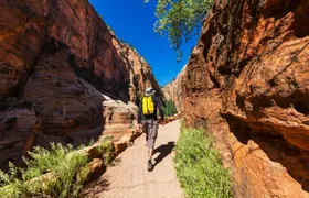 Zion National Park self-driving audio tour