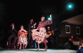 Authentic Flamenco Show with Tapas & Wine Guided Tour 