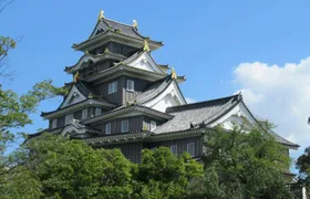 Okayama Castle private tour with Korakuen Garden