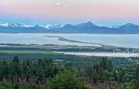 Port Homer Day Tour Wilderness, Wildlife and Beach Experience
