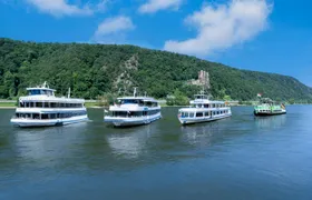 Ticket for Rhine castle cruise from Rüdesheim