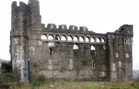 Swansea Historical and Cultural Private Tour with Local Guide