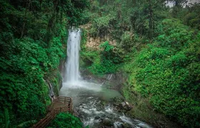 La Paz Waterfall Gardens Late Departure Tour
