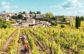 Saint-Émilion and Pomerol wine tour