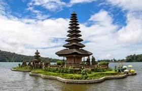 Bali guided tour with Jatiluwih rice terraces and optional lunch