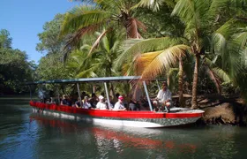 Damas Island Boat Tour