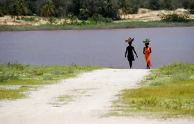 Day trip to Retba Lake and Tortoise Reserve from Pointe Sarène