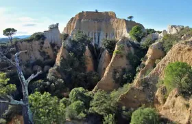 Wild Organs: Grand Landscape, Plants, Geology, Birdsongs