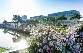 Discover Mulhouse on a guided walking tour with a local