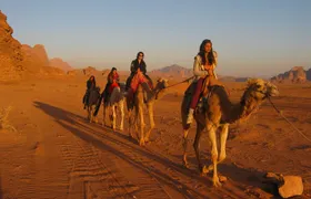 Petra, Wadi Rum, Dead Sea 4 Days 3 nights
