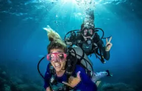 Try Scuba Diving Experience in Fujairah