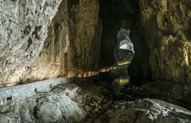 Guided tour of the Lipica Stud Farm and Škocjan Caves from Trieste