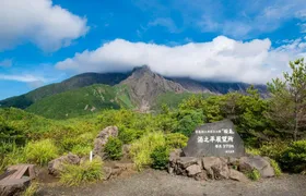 Private Kagoshima excursion with Sakurajima Volcano and Sengan-en