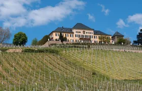 Rheingau e-bike tour