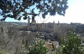 Visit of the Ducal Palace of Urbino