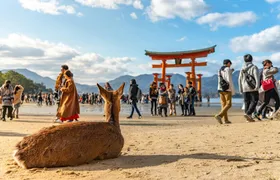 Full-day tour to Hiroshima and Miyajima with ferry ride
