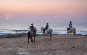 Sunset Bordeira beach horse riding guided tour