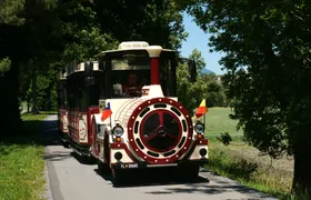 Vaduz Citytrain tour in 35 minutes with audio guide