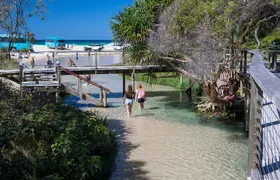 K'gari (Fraser Island) All Inclusive Day Tour