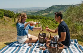 Picnic With a Bottle of Wine in Montalcino With Optional Wine Tour