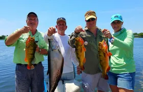 Peacock Bass Fishing Trips near Boca Raton