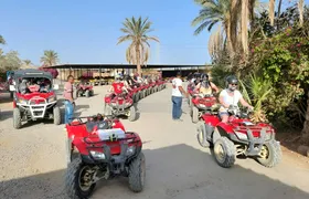 Quad Bike Adventure with Bedouin Tea from Mersa Matrouh