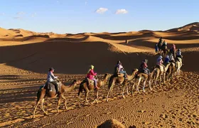 8-Day Morocco Highlights Tour from Tangier with Sahara Desert