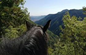 Half Day Horse Riding to Soskovcheto Preserve in Smolyan