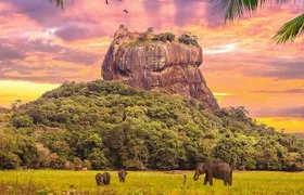 Kandy to Sigiriya Day Tour and Dambulla cave temple with private vehicle