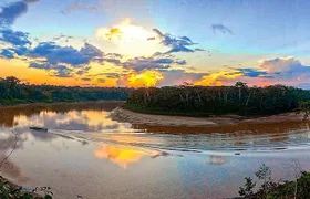 4 Day Tambopata Amazon Wildlife & Canopy Experience