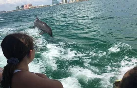 Little Toot Dolphin Adventure at Clearwater Beach