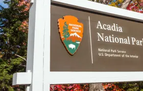 Acadia National Park Self-Guided Driving Tour from Cadillac