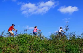 Half Day Village Cycling Tour in Yala: