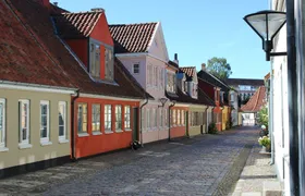 Odense private walking tour