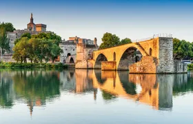 Combined entrance tickets for Palais des Papes and Pont d'Avignon