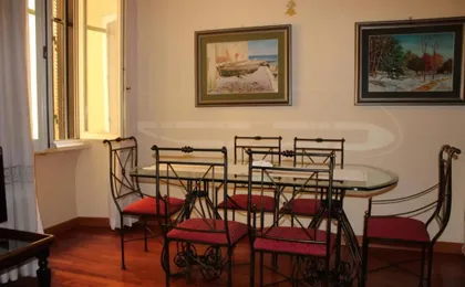 Colosseum New Charming Apartment