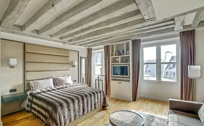 Luxury Apartment Paris Louvre