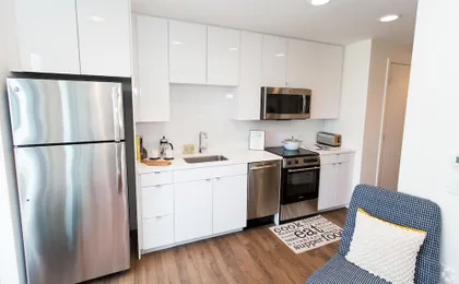 Luxurious 1bd/1ba Penthouse in Fenway - 1t