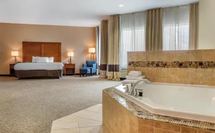 Comfort Inn Apalachin Binghamton West Route 17