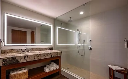 Holiday Inn New Orleans-Downtown Superdome by IHG