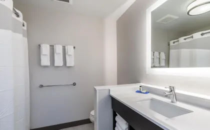 Holiday Inn Express & Suites South Bend South