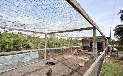 40-acre Farm w/ Animals & Fishing in Sebring!