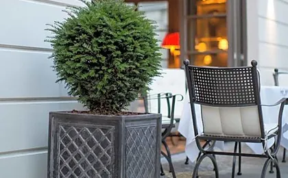 Monbijou Hotel