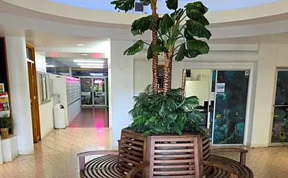 Waikiki Vacation Condo