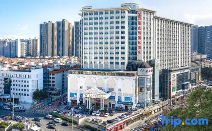 Vienna International Hotel (Shenzhen North Railway Station Wanzhong City)