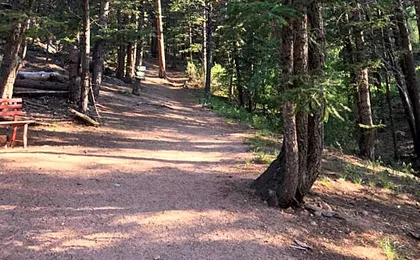 Pine Haven Resort