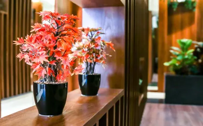 AR Suites Jewels Royale