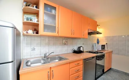 Apartment Visnja