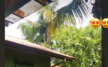 Posada Suenos de Verano (Adults only)