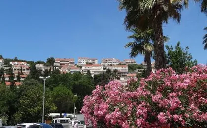 Apartments Roko